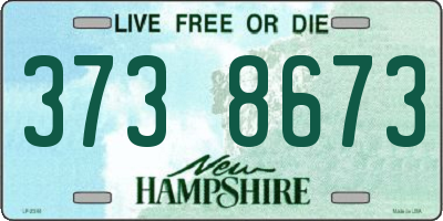 NH license plate 3738673