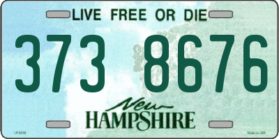 NH license plate 3738676