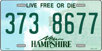 NH license plate 3738677
