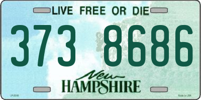 NH license plate 3738686