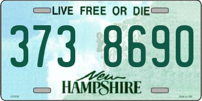 NH license plate 3738690