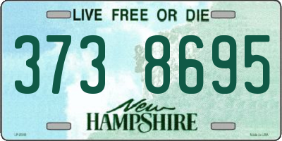 NH license plate 3738695