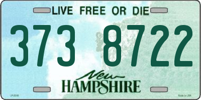 NH license plate 3738722