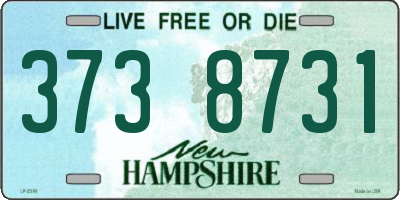 NH license plate 3738731