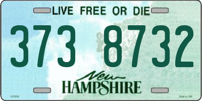 NH license plate 3738732