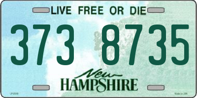 NH license plate 3738735