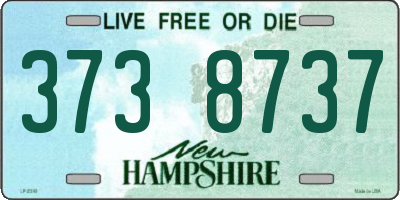 NH license plate 3738737