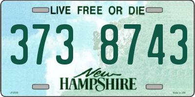 NH license plate 3738743