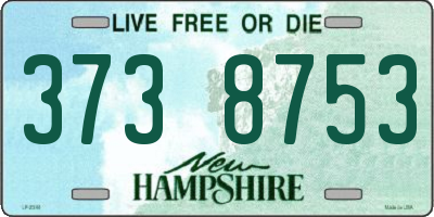 NH license plate 3738753