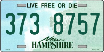 NH license plate 3738757