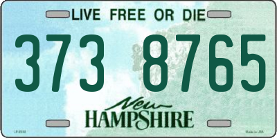 NH license plate 3738765