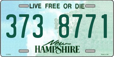 NH license plate 3738771