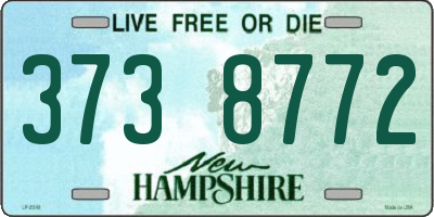 NH license plate 3738772