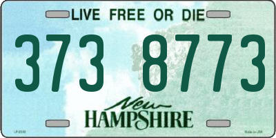 NH license plate 3738773
