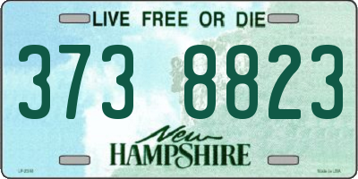 NH license plate 3738823