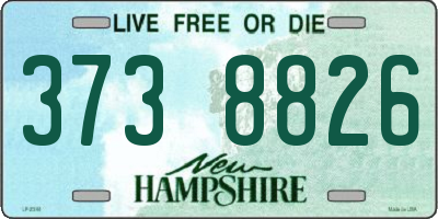 NH license plate 3738826