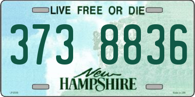 NH license plate 3738836