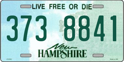 NH license plate 3738841