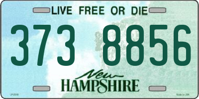 NH license plate 3738856