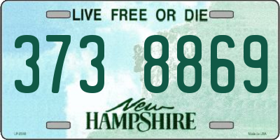 NH license plate 3738869