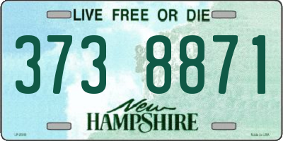 NH license plate 3738871