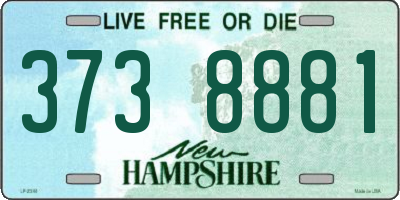 NH license plate 3738881