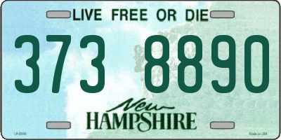 NH license plate 3738890