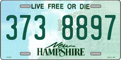 NH license plate 3738897