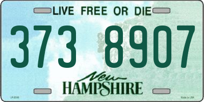 NH license plate 3738907