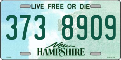 NH license plate 3738909
