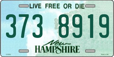 NH license plate 3738919