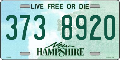 NH license plate 3738920