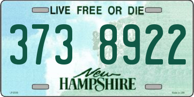 NH license plate 3738922