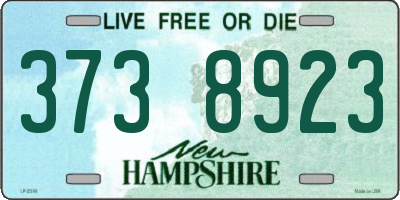 NH license plate 3738923