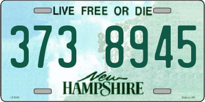 NH license plate 3738945