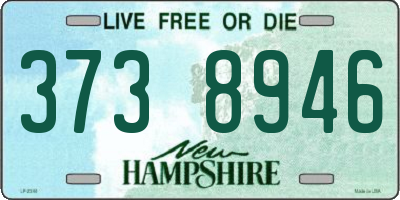 NH license plate 3738946