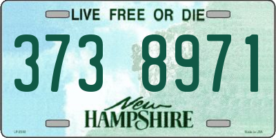 NH license plate 3738971