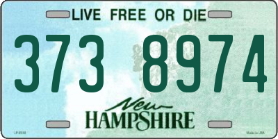 NH license plate 3738974