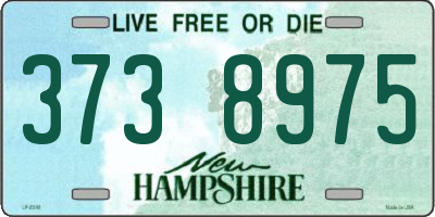 NH license plate 3738975