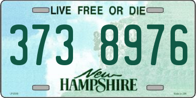 NH license plate 3738976