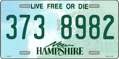 NH license plate 3738982