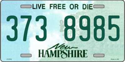 NH license plate 3738985