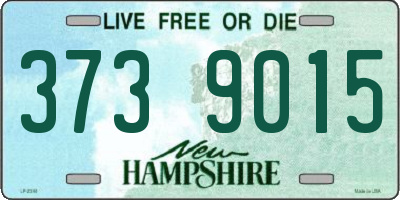 NH license plate 3739015