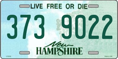 NH license plate 3739022