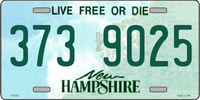 NH license plate 3739025