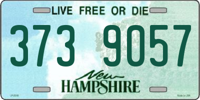 NH license plate 3739057