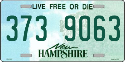NH license plate 3739063