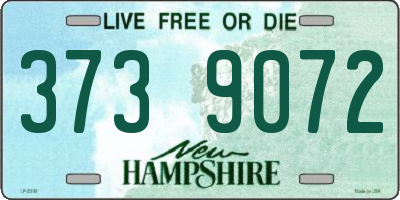 NH license plate 3739072