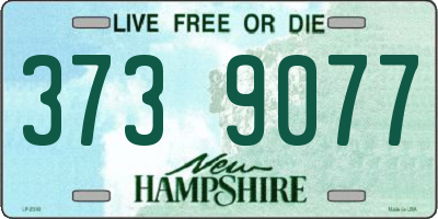 NH license plate 3739077
