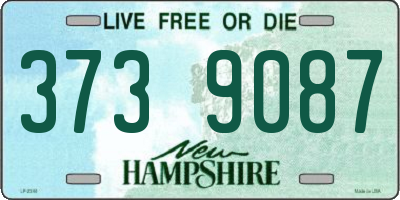 NH license plate 3739087